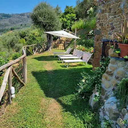 Chez Paul * Massarosa